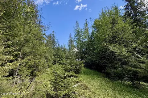 Nna Lot 4 Silver Reef Rd, Sagle, ID 83860
