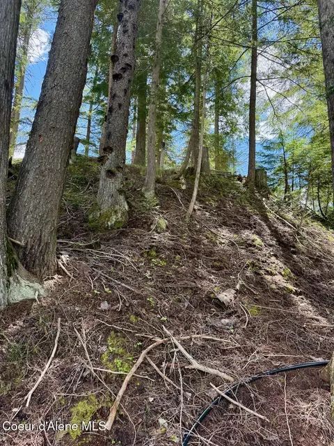 Other - 8213 Rapid Lightning Rd, Sandpoint, ID 83864 photo 15 of 19