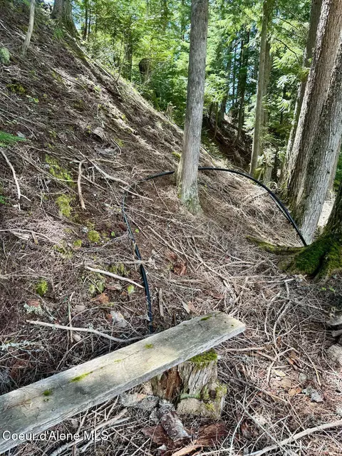Other - 8213 Rapid Lightning Rd, Sandpoint, ID 83864 photo 14 of 19