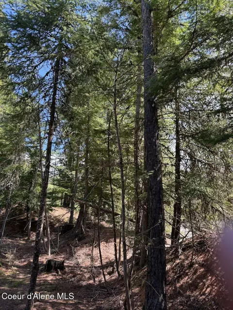 Other - 8213 Rapid Lightning Rd, Sandpoint, ID 83864 photo 7 of 19