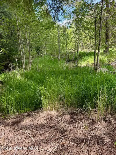 Other - 8213 Rapid Lightning Rd, Sandpoint, ID 83864 photo 16 of 19