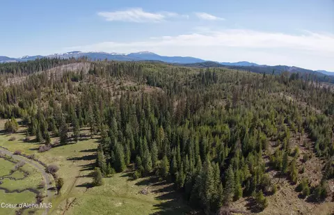 Nka Park Road 100 Acres, Elk River, ID 83827