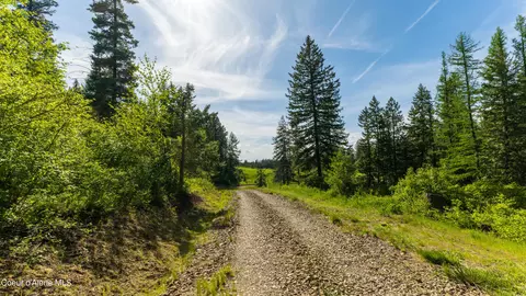Highway 97, Harrison, ID 83833 photo 14