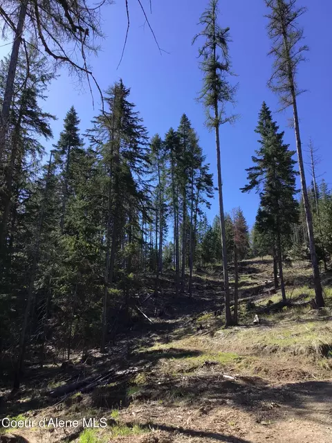 Highway 97, Harrison, ID 83833 photo 4