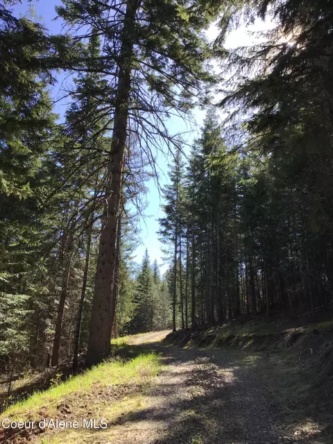 Highway 97, Harrison, ID 83833