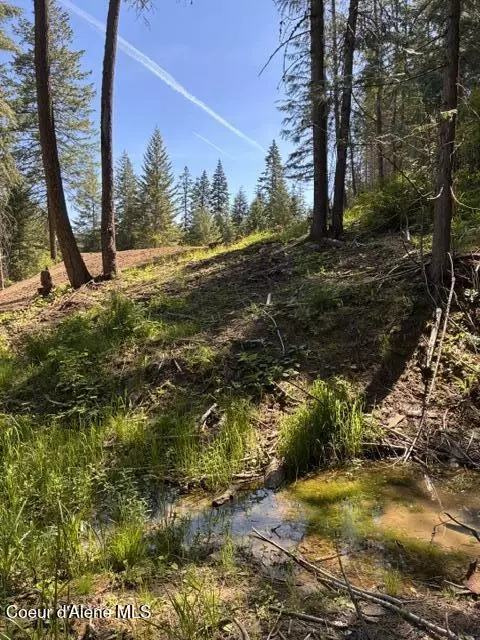 Highway 97, Harrison, ID 83833 photo 16