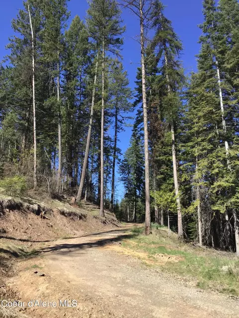 Highway 97, Harrison, ID 83833 photo 6