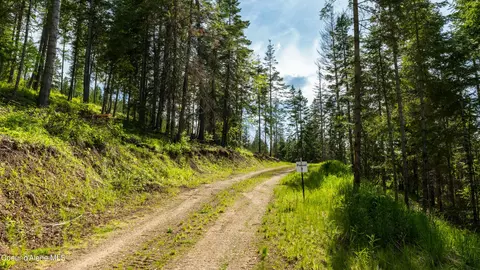 Highway 97, Harrison, ID 83833 photo 12