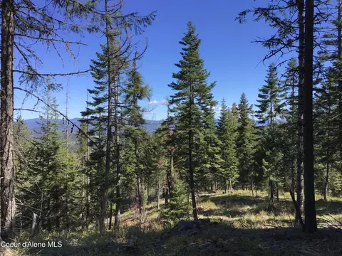 Highway 97, Harrison, ID 83833 photo 7
