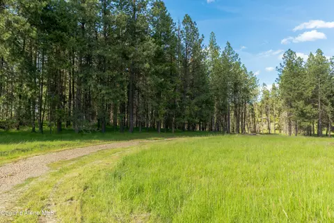 Highway 97, Harrison, ID 83833 photo 15