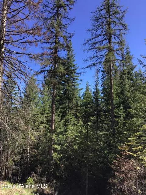 Highway 97, Harrison, ID 83833 photo 5