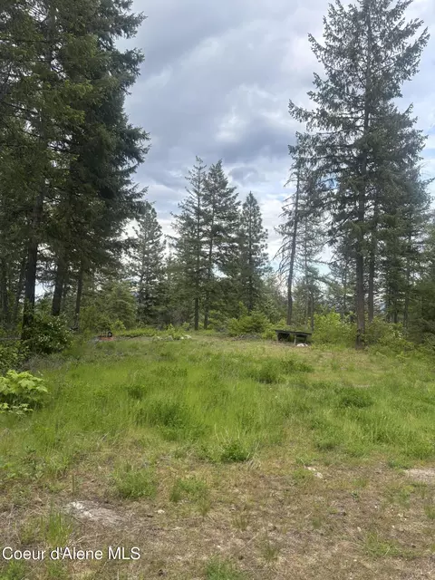 1051 Milky Way, Sagle, ID 83860