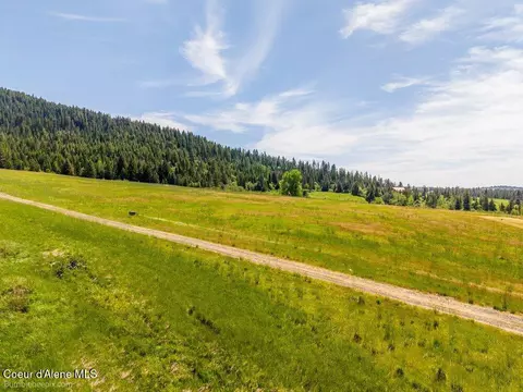 Tract B Thimbleberry Lane, Plummer, ID 83851 photo 14