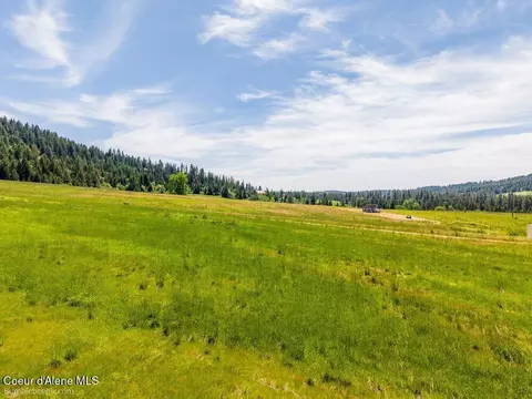 Tract B Thimbleberry Lane, Plummer, ID 83851 photo 13