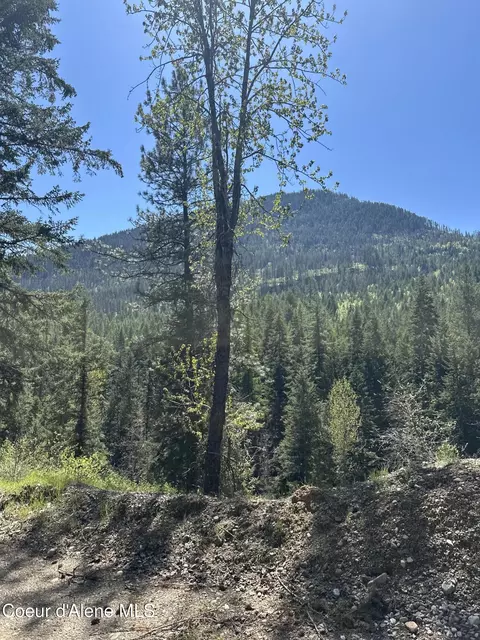 5784 River Rd, Clark Fork, ID 83811 photo 4