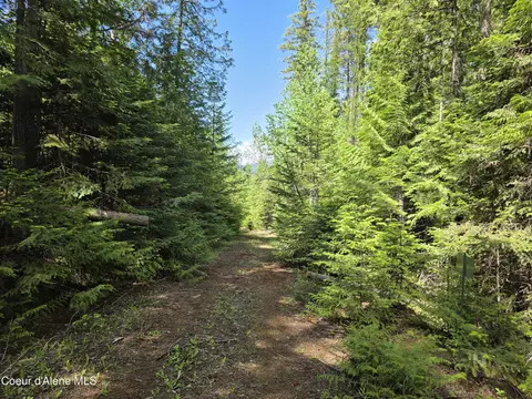 5784 River Rd, Clark Fork, ID 83811 photo 11