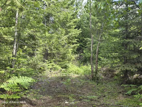5784 River Rd, Clark Fork, ID 83811 photo 3
