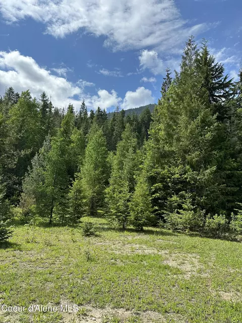 5784 River Rd, Clark Fork, ID 83811