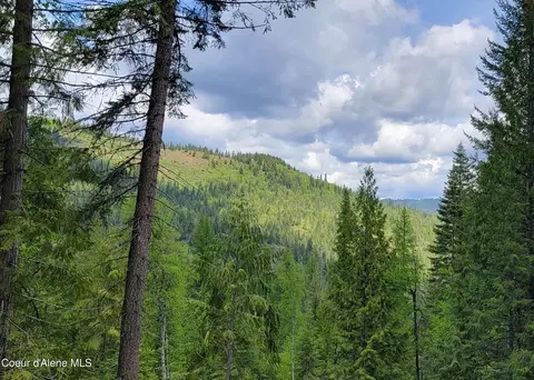 Nna Pup Paw Trail, Priest River, ID 83856