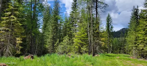 Nna Pup Paw Trail - North, Priest River, ID 83856