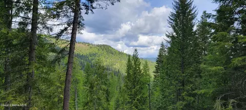 Nna Pup Paw Trail South, Priest River, ID 83856