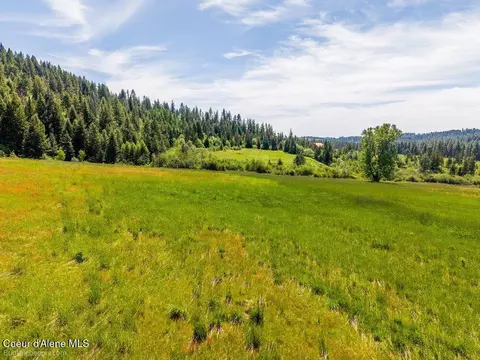 Tract C Thimbleberry Lane, Plummer, ID 83851 photo 5
