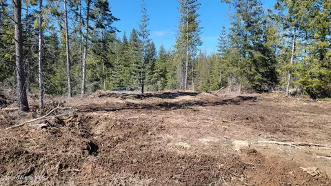 lot2 Pioneer Ln, Priest River, ID 83856