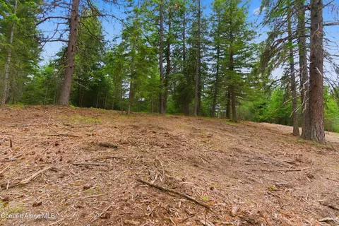 Parcel C S Dunlap Rd, Harrison, ID 83833 photo 9