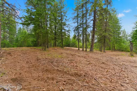 Parcel C S Dunlap Rd, Harrison, ID 83833 photo 8