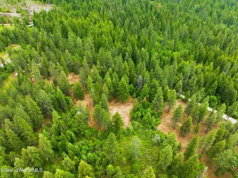 Parcel C S Dunlap Rd, Harrison, ID 83833 photo 14