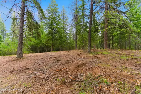 Parcel C S Dunlap Rd, Harrison, ID 83833 photo 7