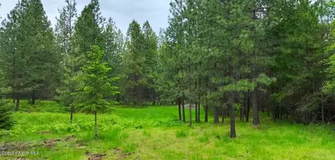 Parcel C S Dunlap Rd, Harrison, ID 83833 photo 6