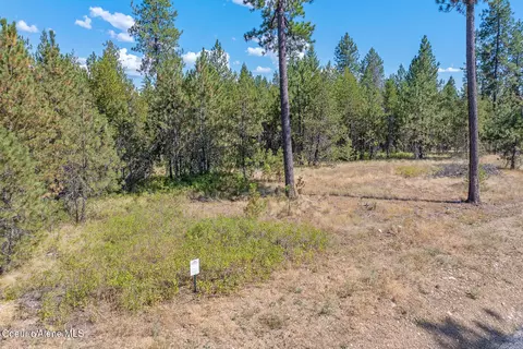 lot4 Dawson Lp Lp, Athol, ID 83801 photo 2