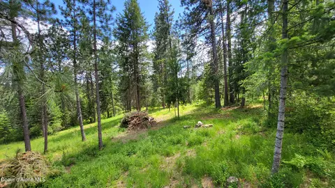 Exterior - 6202 E Wood Ln, Harrison, ID 83833 photo 15 of 16