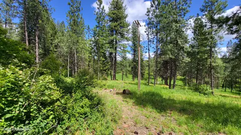 Other - 6202 E Wood Ln, Harrison, ID 83833 photo 12 of 21
