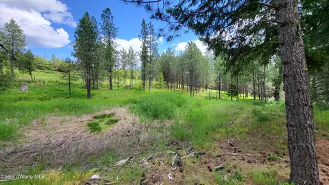 Other - 6202 E Wood Ln, Harrison, ID 83833 photo 11 of 21