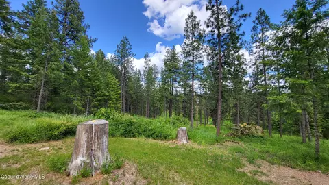 Exterior - 6202 E Wood Ln, Harrison, ID 83833 photo 11 of 16