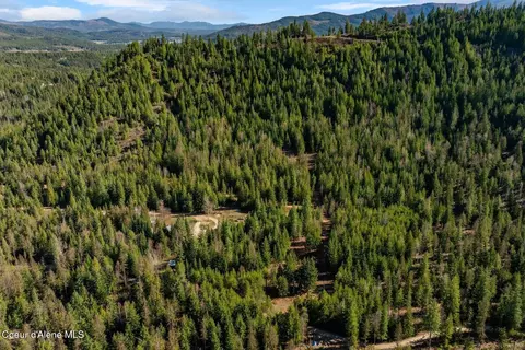 lot3 Cedar Acres, Priest River, ID 83856 photo 12