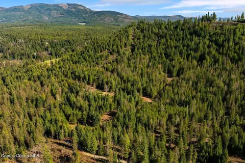 lot4 Cedar Acres, Priest River, ID 83856 photo 9