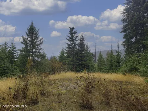 Nka White Cloud Dr, Sandpoint, ID 83864 photo 8