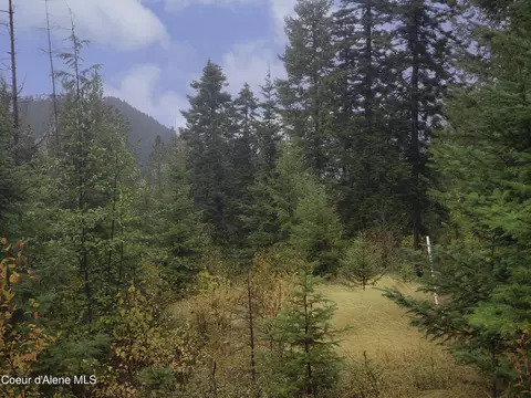 Nka White Cloud Dr, Sandpoint, ID 83864 photo 4