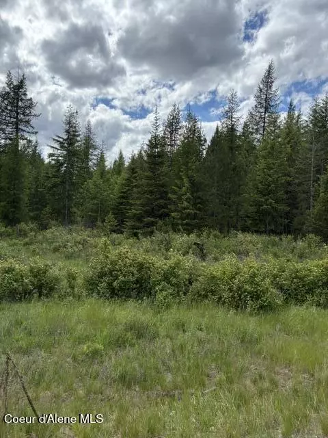 Good Hope Road, Athol, ID 83801