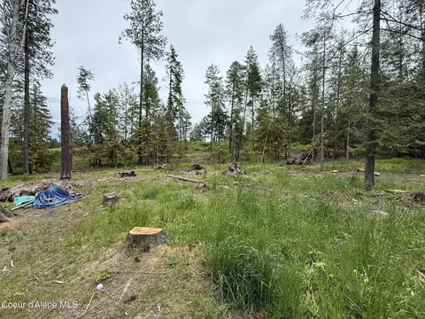 Nka Parkside Rd, Plummer, ID 83851 photo 7
