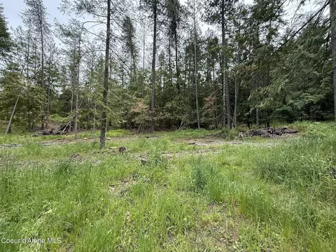 Nka Parkside Rd, Plummer, ID 83851 photo 6