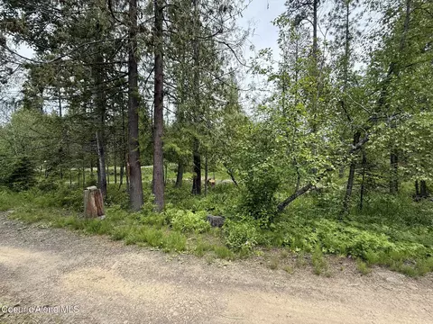 Nka Parkside Rd, Plummer, ID 83851 photo 3
