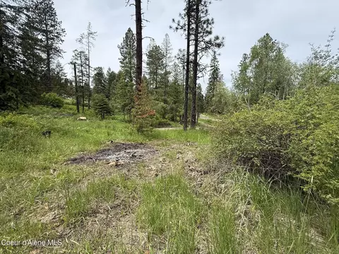 Nka Parkside Rd, Plummer, ID 83851 photo 12