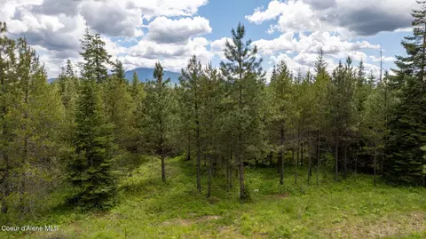 Other - 8917 E Riley Loop, Athol, ID 83801 photo 13 of 13