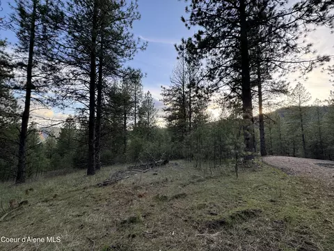 Nka Baby Cougar Lane, Coeur D'alene, ID 83815