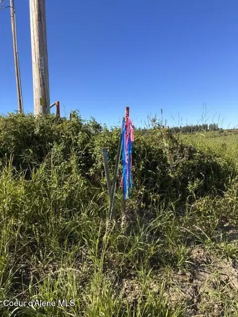 E Van Dusen Rd, Harrison, ID 83833 photo 10