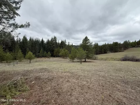 Nka Owl Creek Ln, Saint Maries, ID 83861